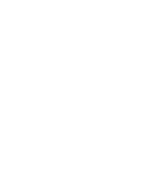 RX Checklist Icon
