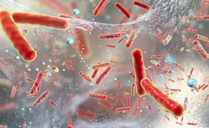 Antibiotic Resistant Infections Antibiotic Resistant Infections