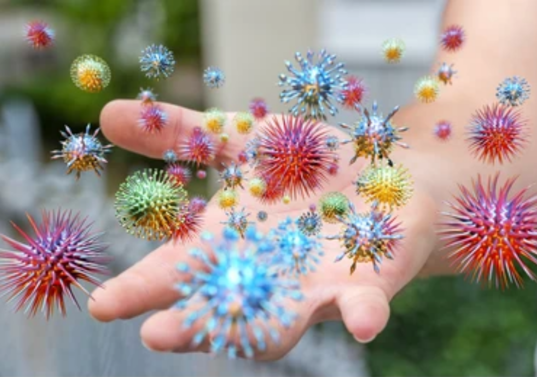 Norovirus Image Norovirus Image