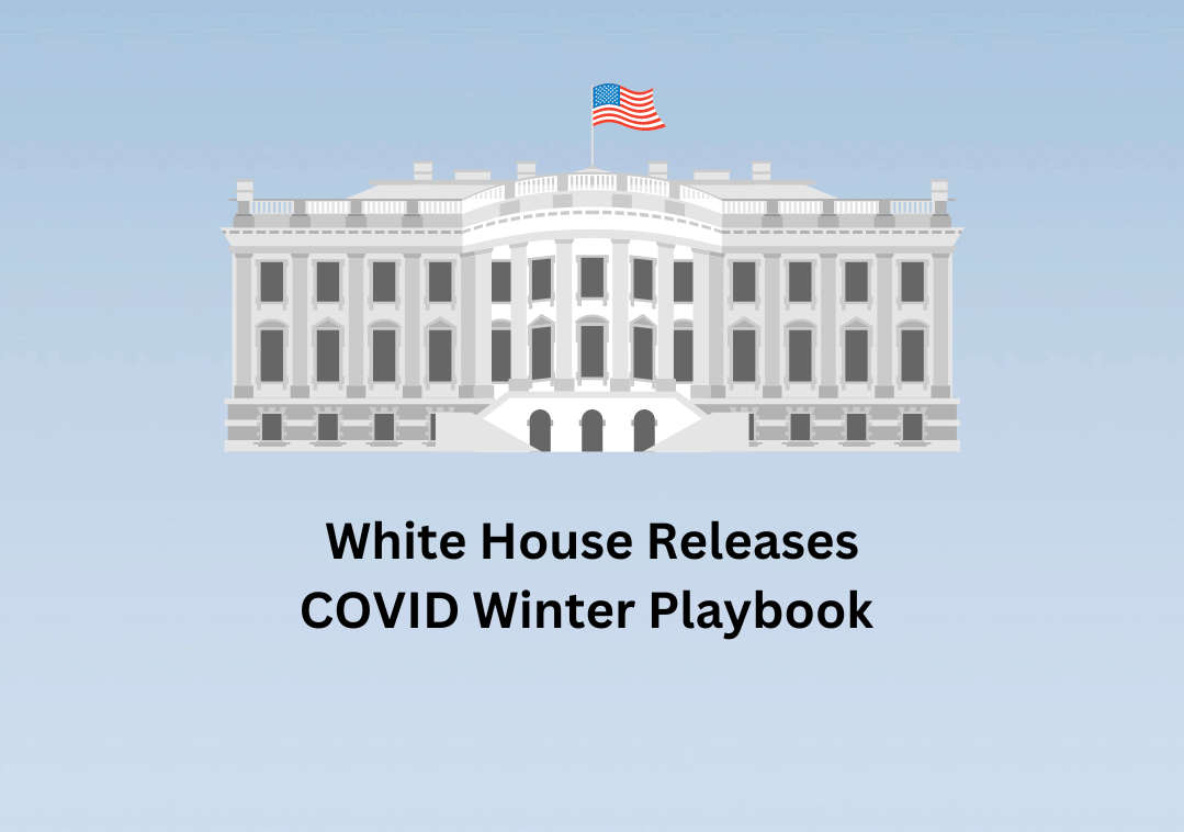 White house White house